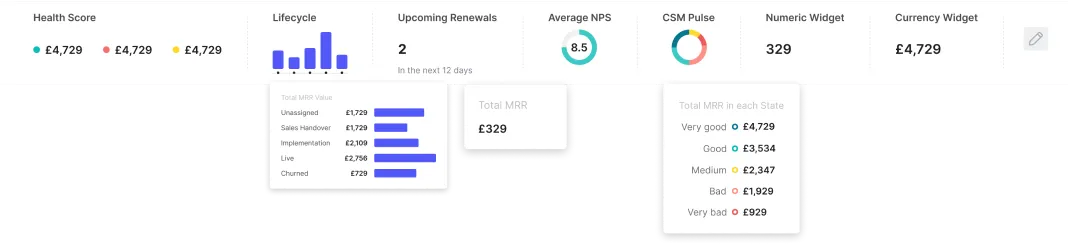 Stat bar with health score, lifecycle chart and upcoming renewals widgets.